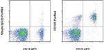 CD185 (CXCR5) Antibody in Flow Cytometry (Flow)