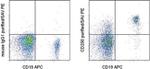 CD200 Antibody in Flow Cytometry (Flow)