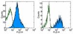 CD321 (F11R) Antibody in Flow Cytometry (Flow)