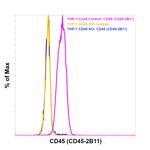 CD45 Antibody