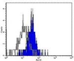 CD281 (TLR1) Antibody in Flow Cytometry (Flow)