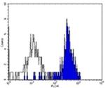 CD282 (TLR2) Antibody in Flow Cytometry (Flow)