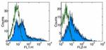 CD278 (ICOS) Antibody in Flow Cytometry (Flow)