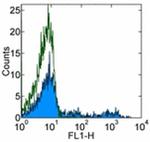 HLA-DR Antibody in Flow Cytometry (Flow)