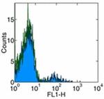 IgM Antibody in Flow Cytometry (Flow)