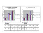 Human DLL-1 (soluble) Protein in Functional Assay (FN)