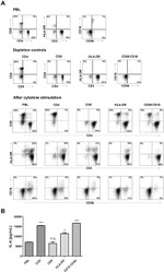 CD3 Antibody in Flow Cytometry (Flow)