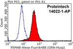 PSMA8 Antibody in Flow Cytometry (Flow)