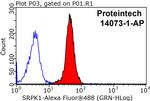 SRPK1 Antibody in Flow Cytometry (Flow)