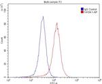 GABRG2 Antibody in Flow Cytometry (Flow)