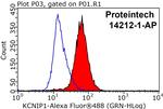 KChIP1 Antibody in Flow Cytometry (Flow)