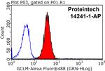 GCLM Antibody in Flow Cytometry (Flow)