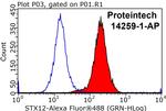 Syntaxin 12 Antibody in Flow Cytometry (Flow)