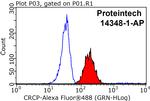 CRCP Antibody in Flow Cytometry (Flow)