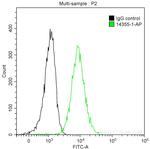 ST6GAL1 Antibody in Flow Cytometry (Flow)