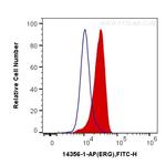 ERG Antibody in Flow Cytometry (Flow)