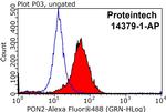 PON2 Antibody in Flow Cytometry (Flow)