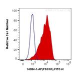 Fascin Antibody in Flow Cytometry (Flow)