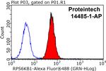 p70(S6K) Antibody in Flow Cytometry (Flow)