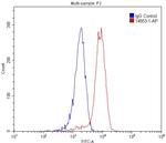 CD13 Antibody in Flow Cytometry (Flow)