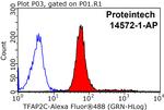 TFAP2C Antibody in Flow Cytometry (Flow)