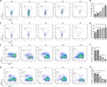 CD366 (TIM3) Antibody in Flow Cytometry (Flow)