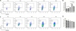 CD366 (TIM3) Antibody in Flow Cytometry (Flow)