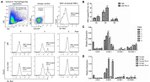 CD366 (TIM3) Antibody in Flow Cytometry, Neutralization (Flow, Neu)