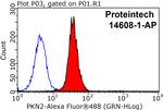 PKN2 Antibody in Flow Cytometry (Flow)