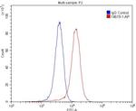 NMUR1 Antibody in Flow Cytometry (Flow)