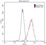 CNPY2/MSAP Antibody in Flow Cytometry (Flow)