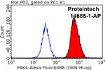 PAK4 Antibody in Flow Cytometry (Flow)