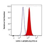 RPL19 Antibody in Flow Cytometry (Flow)