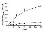 Phospho-Tau (Thr212) Antibody in ELISA (ELISA)