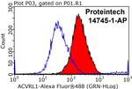 ACVRL1 Antibody in Flow Cytometry (Flow)