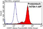 COMT Antibody in Flow Cytometry (Flow)