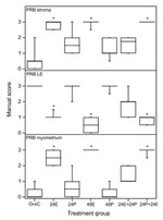 Progesterone Receptor Antibody in Immunohistochemistry (IHC)