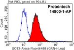 GOT2 Antibody in Flow Cytometry (Flow)