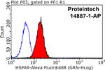 GRP75 Antibody in Flow Cytometry (Flow)