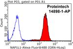 NAP1L1 Antibody in Flow Cytometry (Flow)