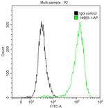 Cytokeratin 19 Antibody in Flow Cytometry (Flow)