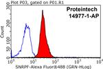 SNRPF Antibody in Flow Cytometry (Flow)