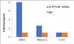 SOX11 Antibody in ChIP Assay (ChIP)