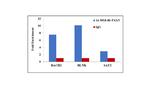 PAX5 Antibody in ChIP Assay (ChIP)