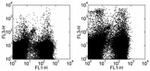 CD11c Antibody in Flow Cytometry (Flow)