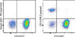 CD19 Antibody in Flow Cytometry (Flow)