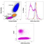 CD95 (APO-1/Fas) Antibody