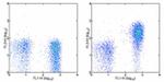 CD127 Antibody in Flow Cytometry (Flow)