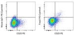 FOXP3 Antibody in Flow Cytometry (Flow)