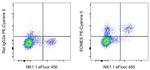 EOMES Antibody in Flow Cytometry (Flow)